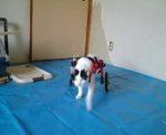 pic_0645.jpg