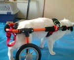 pic_0650.jpg