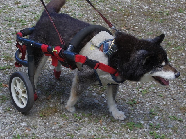 640×480IMGP7176.jpg