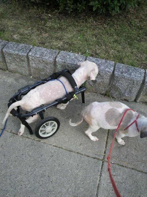 2011112012250000.jpg