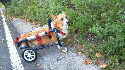 201209300629000.jpg
