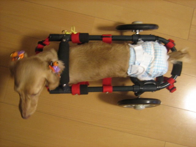 640×480-046.jpg