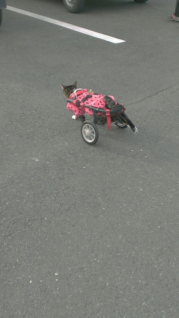 640×480-1388992894906.jpg