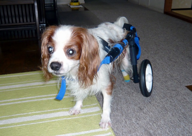 640×480-20110815-2.jpg