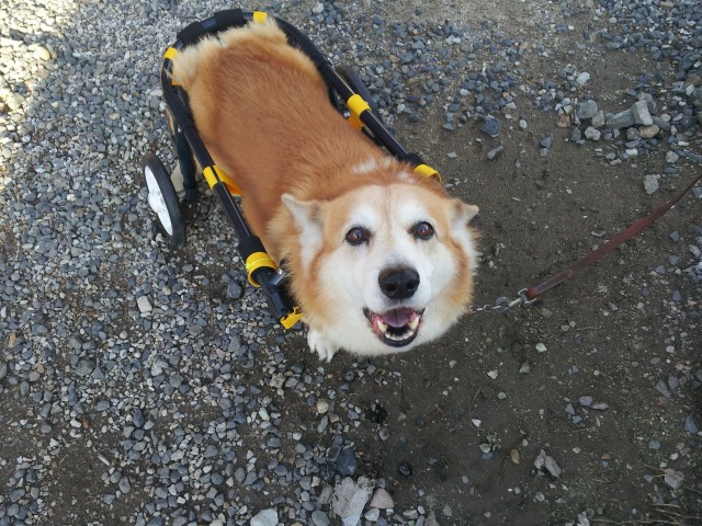 640×480-20120124_154726.jpg