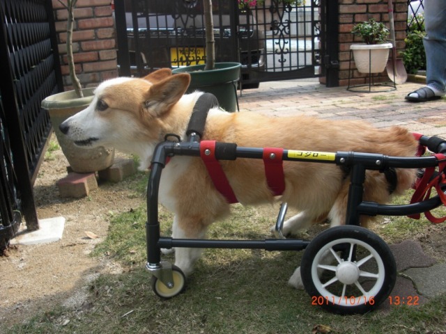 640×480-CIMG1052.jpg