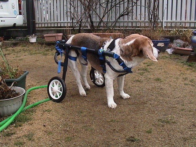 640×480-DSC00034.jpg
