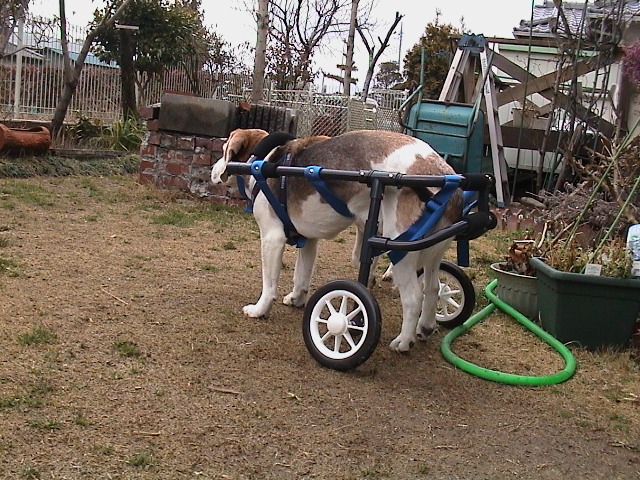 640×480-DSC00036.jpg