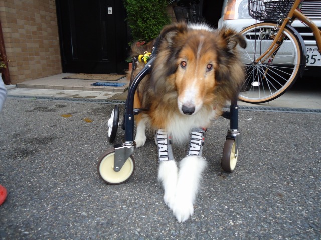 640×480-DSC00157.jpg