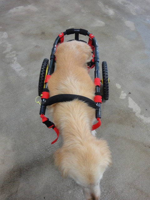 640×480-DSC01828.jpg