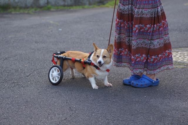 640×480-DSC03158.jpg