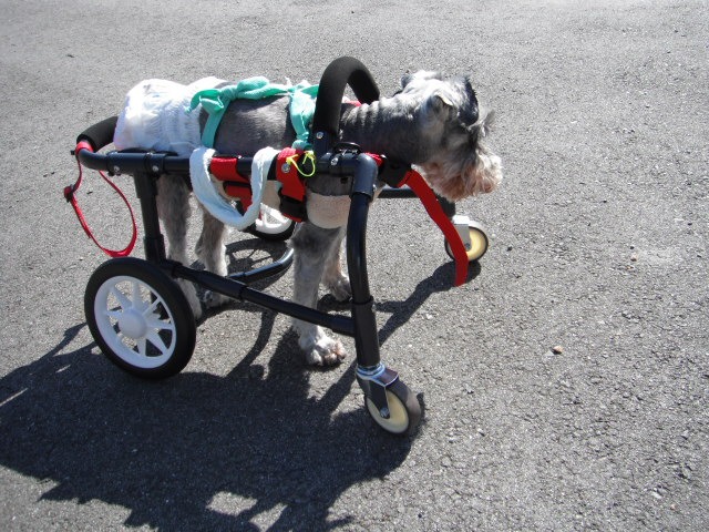 640×480-DSCF2073.jpg