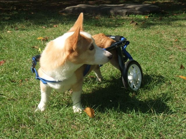 640×480-DSCF5789.jpg