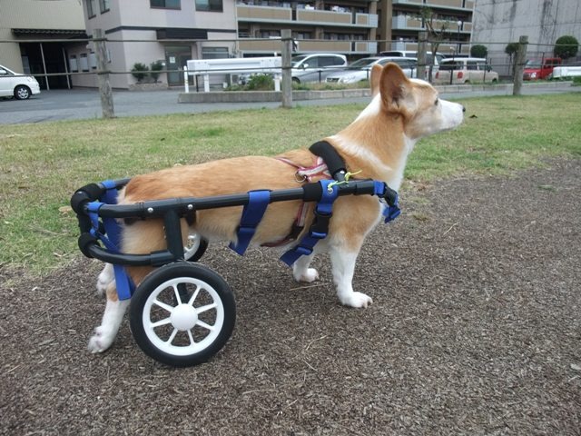 640×480-DSCF5823.jpg