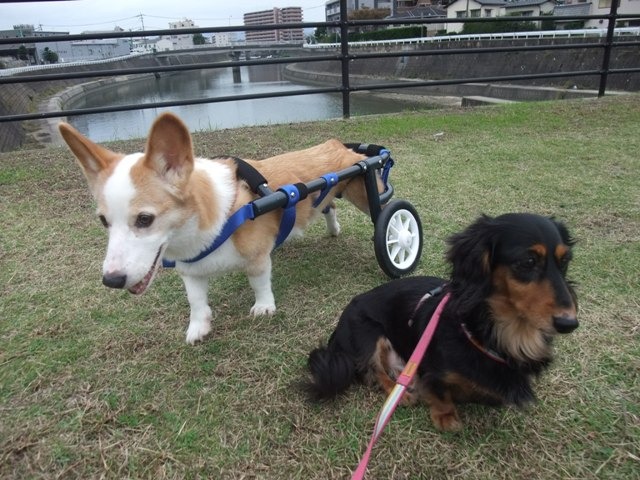 640×480-DSCF5848.jpg