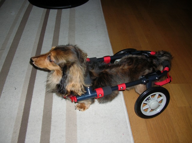 640×480-DSCN0259.jpg