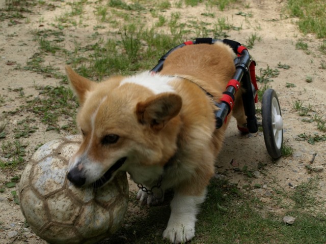 640×480-アルス.jpg