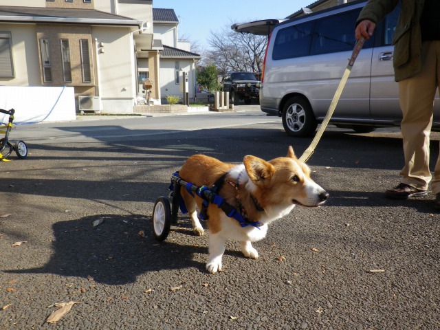 640×480-IMGP0095.jpg
