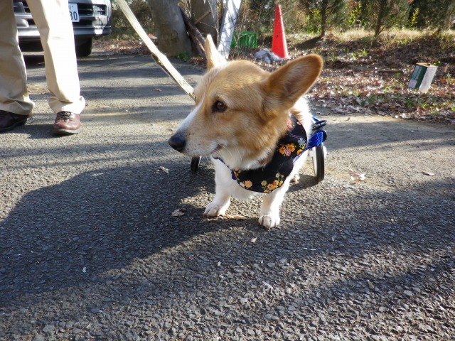 640×480-IMGP0100.jpg