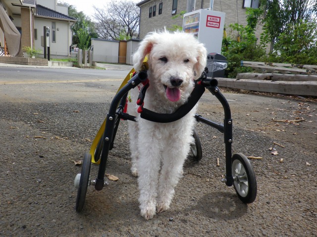 640×480-IMGP0145.jpg