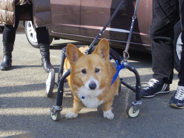 640×480-IMGP0153.jpg