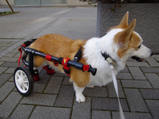 640×480-IMGP0232.jpg