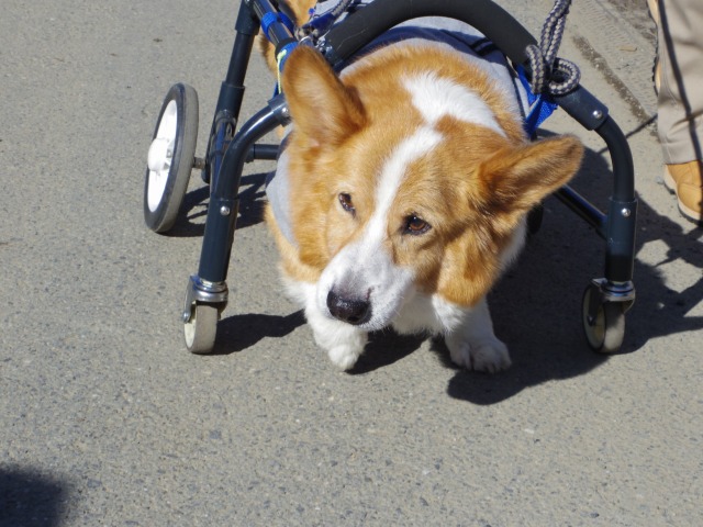 640×480-IMGP0516.jpg