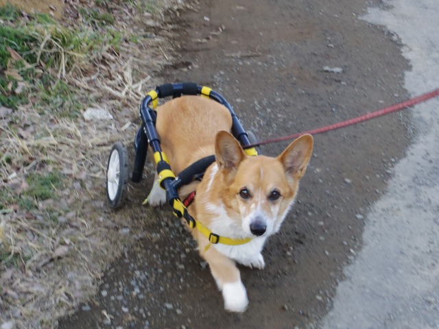 640×480-IMGP0551.jpg