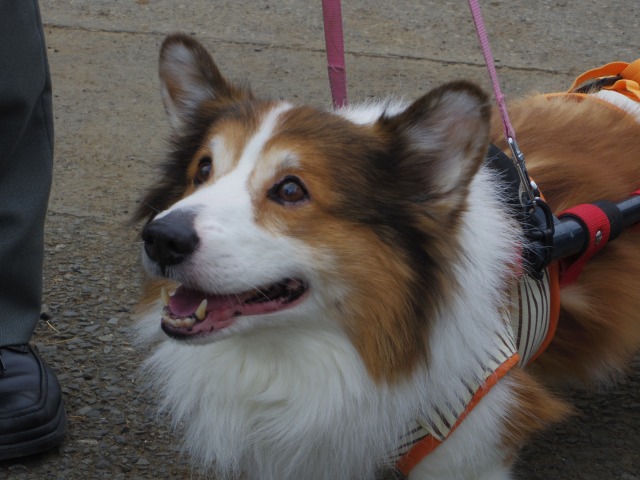 640×480-IMGP0598.jpg