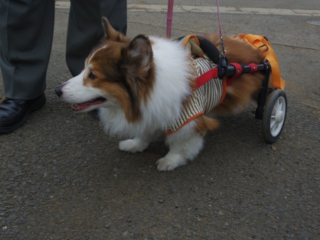 640×480-IMGP0599.jpg