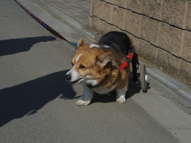 640×480-IMGP0646.jpg