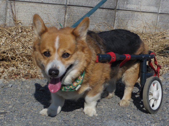 640×480-IMGP0658.jpg