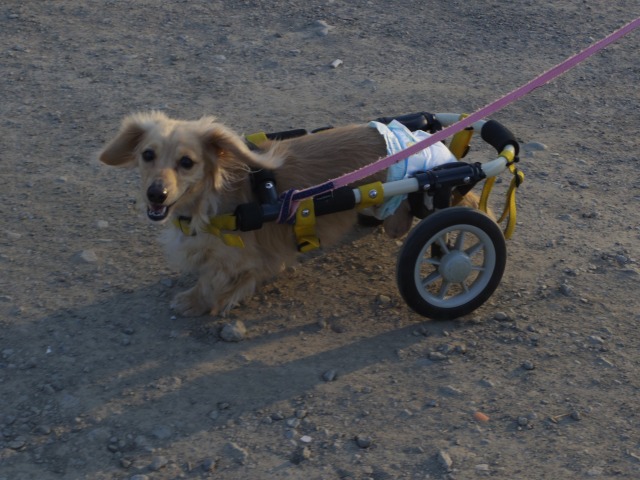 640×480-IMGP0685.jpg