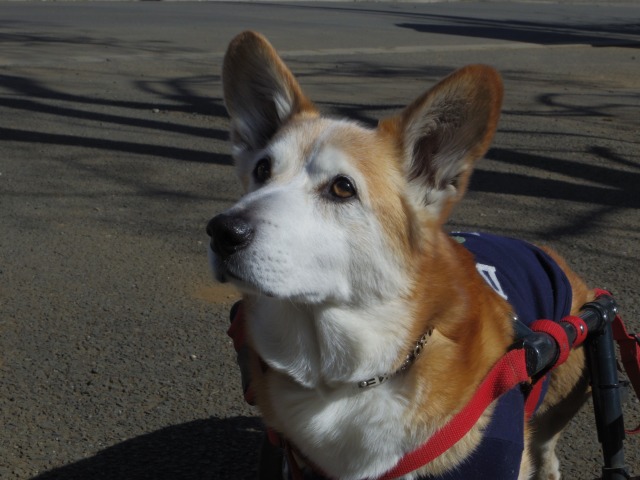 640×480-IMGP0709.jpg