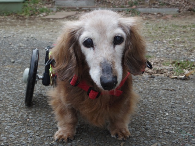 640×480-IMGP0749.jpg