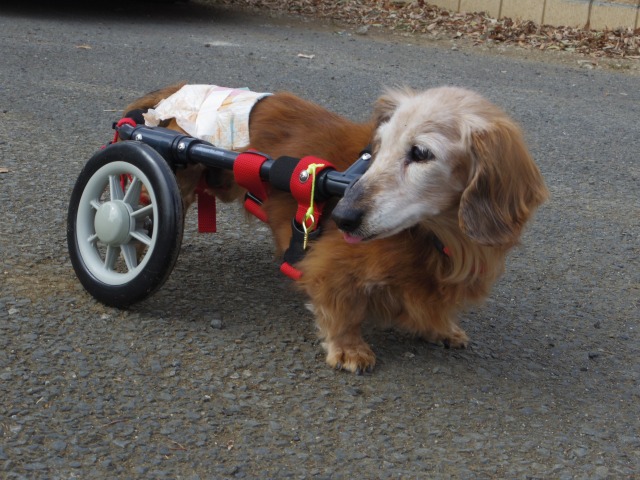640×480-IMGP0763.jpg