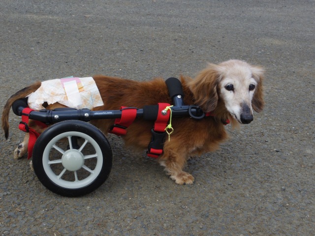 640×480-IMGP0765.jpg
