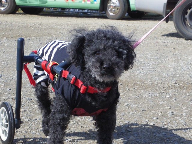 640×480-IMGP0785.jpg