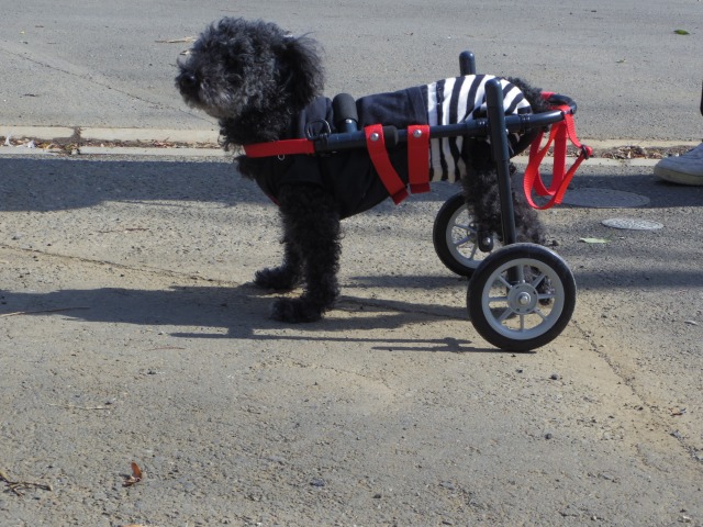 640×480-IMGP0796.jpg