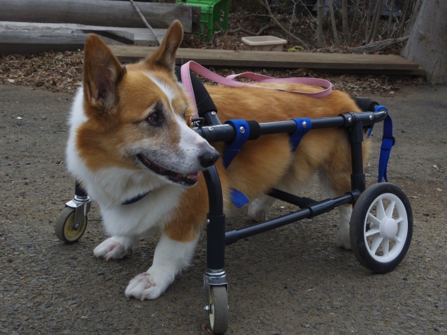 640×480-IMGP0803.jpg