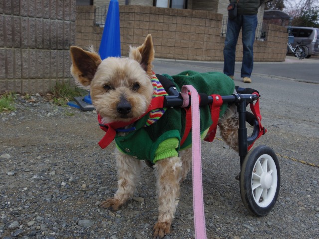 640×480-IMGP0841.jpg