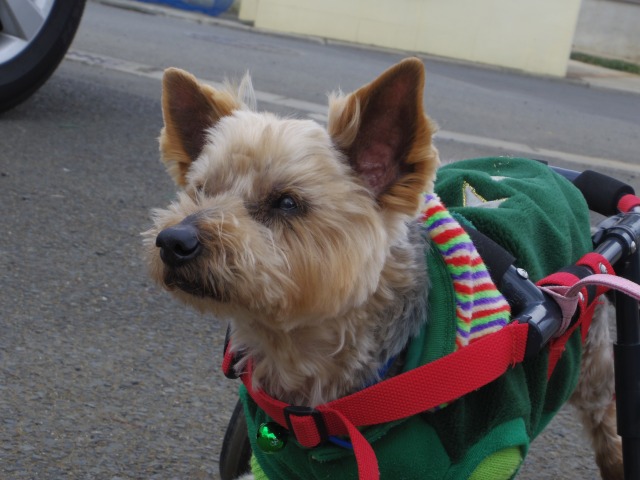 640×480-IMGP0847.jpg