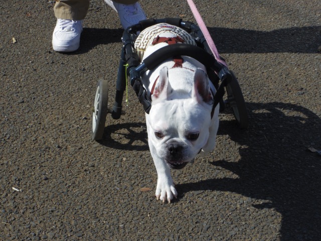 640×480-IMGP0856.jpg