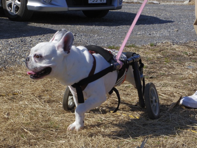 640×480-IMGP0867.jpg