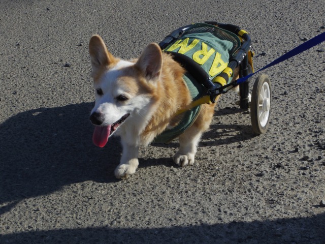 640×480-IMGP0976.jpg