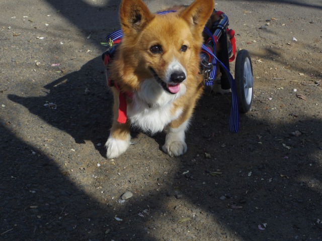 640×480-IMGP0994.jpg