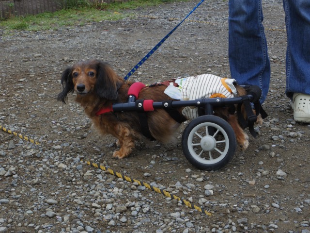 640×480-IMGP1295.jpg