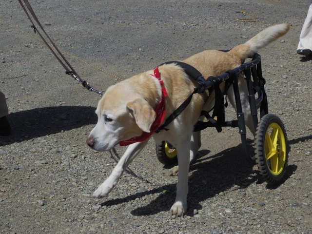 640×480-IMGP1422.jpg