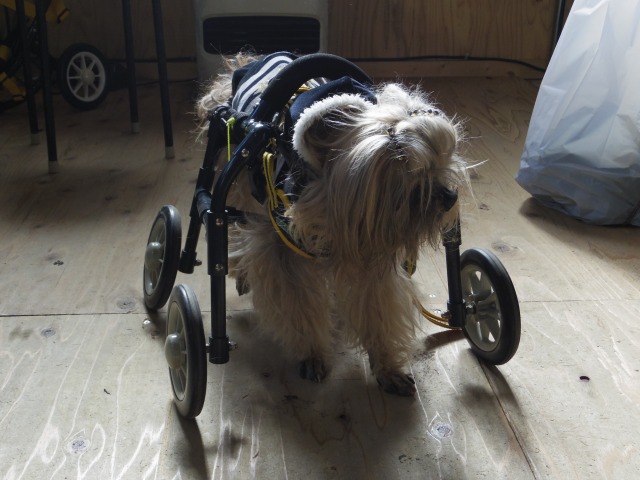 640×480-IMGP1428.jpg