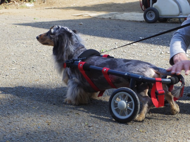 640×480-IMGP1448.jpg